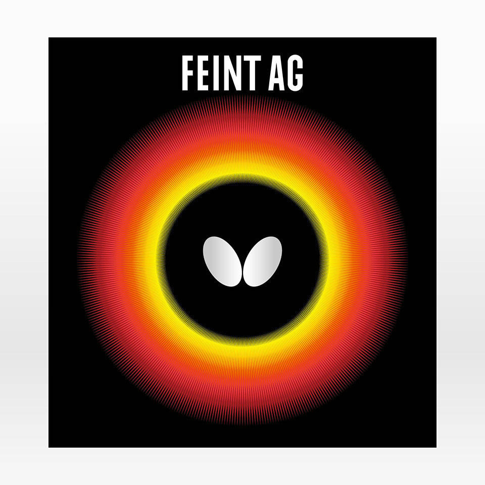 FEINT AG