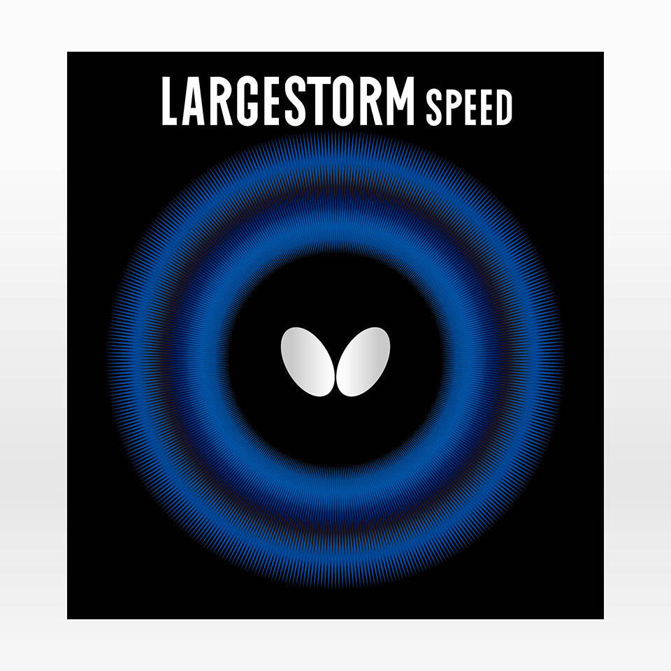 LARGESTORM SPEED